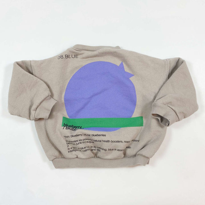 Zara blueberry sweatshirt 12-18M/86 2